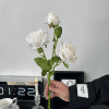 0d156a207736439e836eb47301088299 Vintage burnt-edge silk rose - image 5