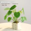 37bf20db8c234983a0dab4710100cb57 Mini faux greenery bubble pots - image 3