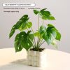 3b78dad12b304c84b6b5b4710100c264-1 Mini Faux Greenery in Bubble Pots