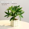 6113f1e82c614f50810ab4710100c70f Mini faux greenery bubble pots - image 2