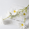 6c7ee907e6c44eca8ccdb47100b6ebc5 Five-head artificial daisy - image 7