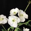 Artificial begonia flower arrangement - image 5