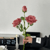 b6df290259f04e1388b0b473010a705f Vintage burnt-edge silk rose - image 6